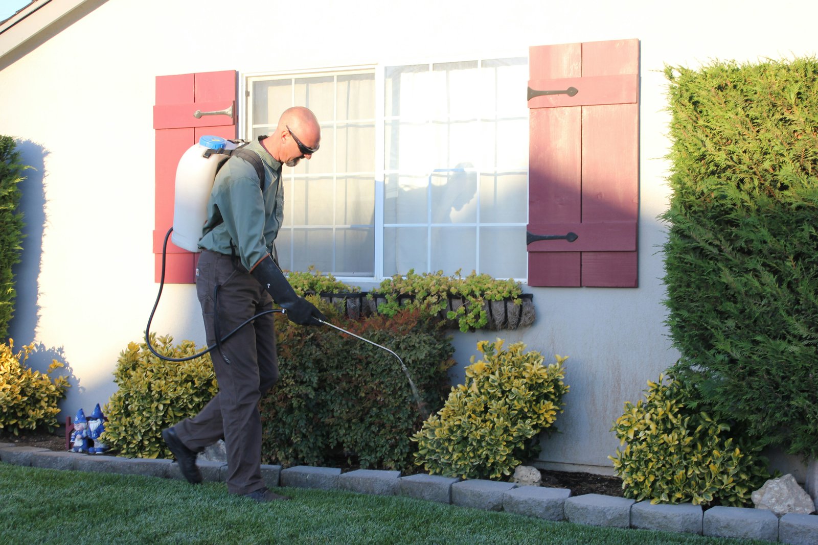 Pest Protection Service